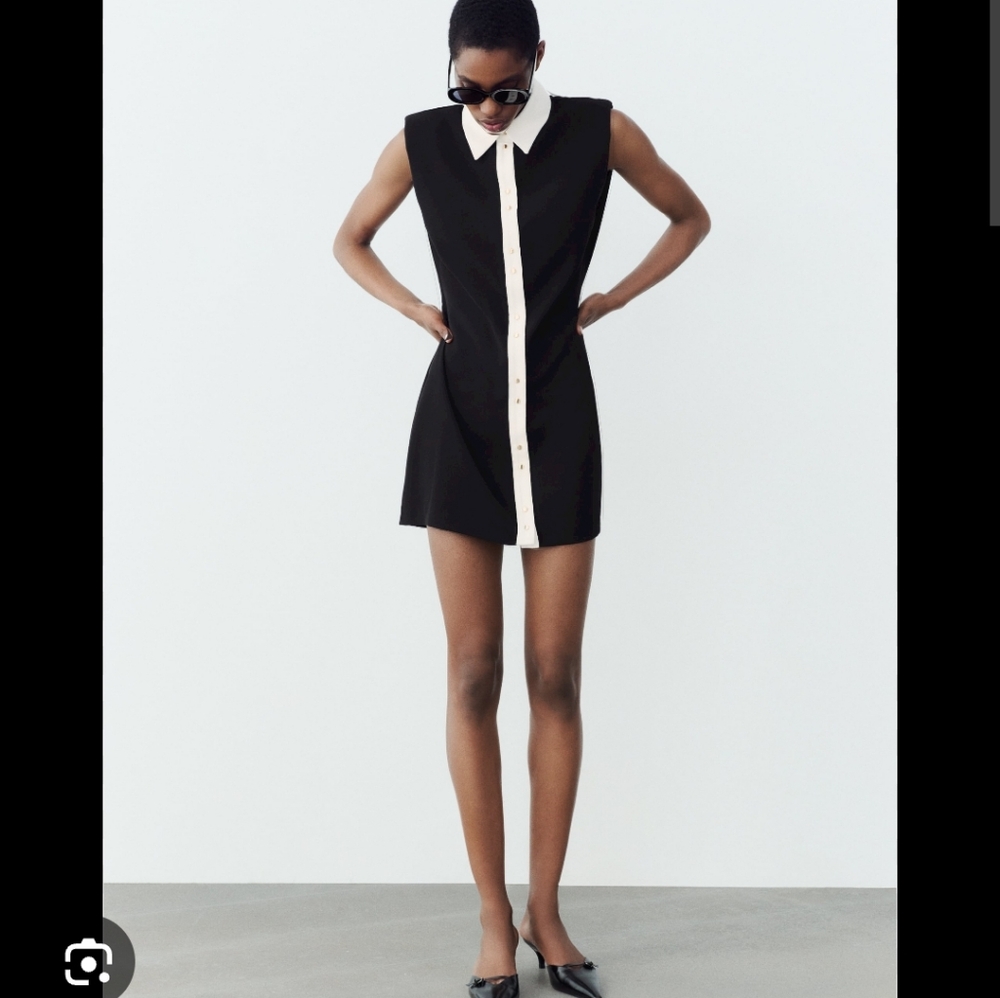 Zara Black and White Collared Dress
